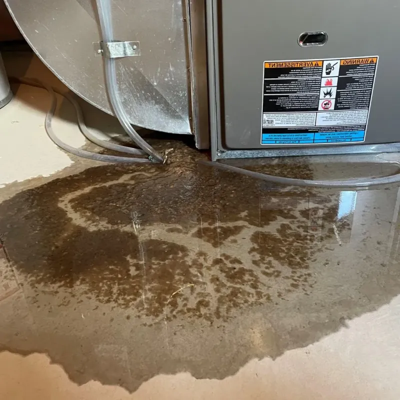 Pipe Burst and Leak Restoration in Burns Harbor, IN