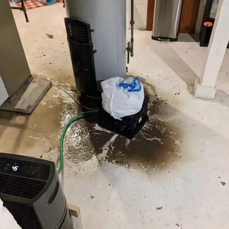 Sewage Backup Cleanup Service in Burns Harbor, IN